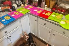 Cooking