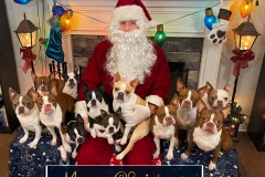 Christmas 2021