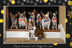2019ChristmasBosties