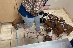 Vet Visit