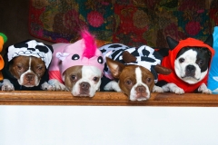 HallowGirls
