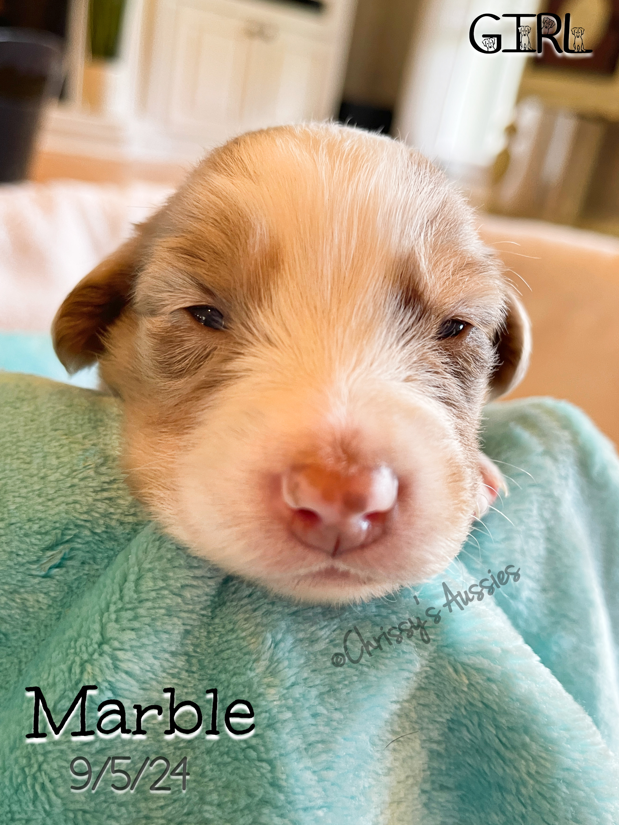 Marble