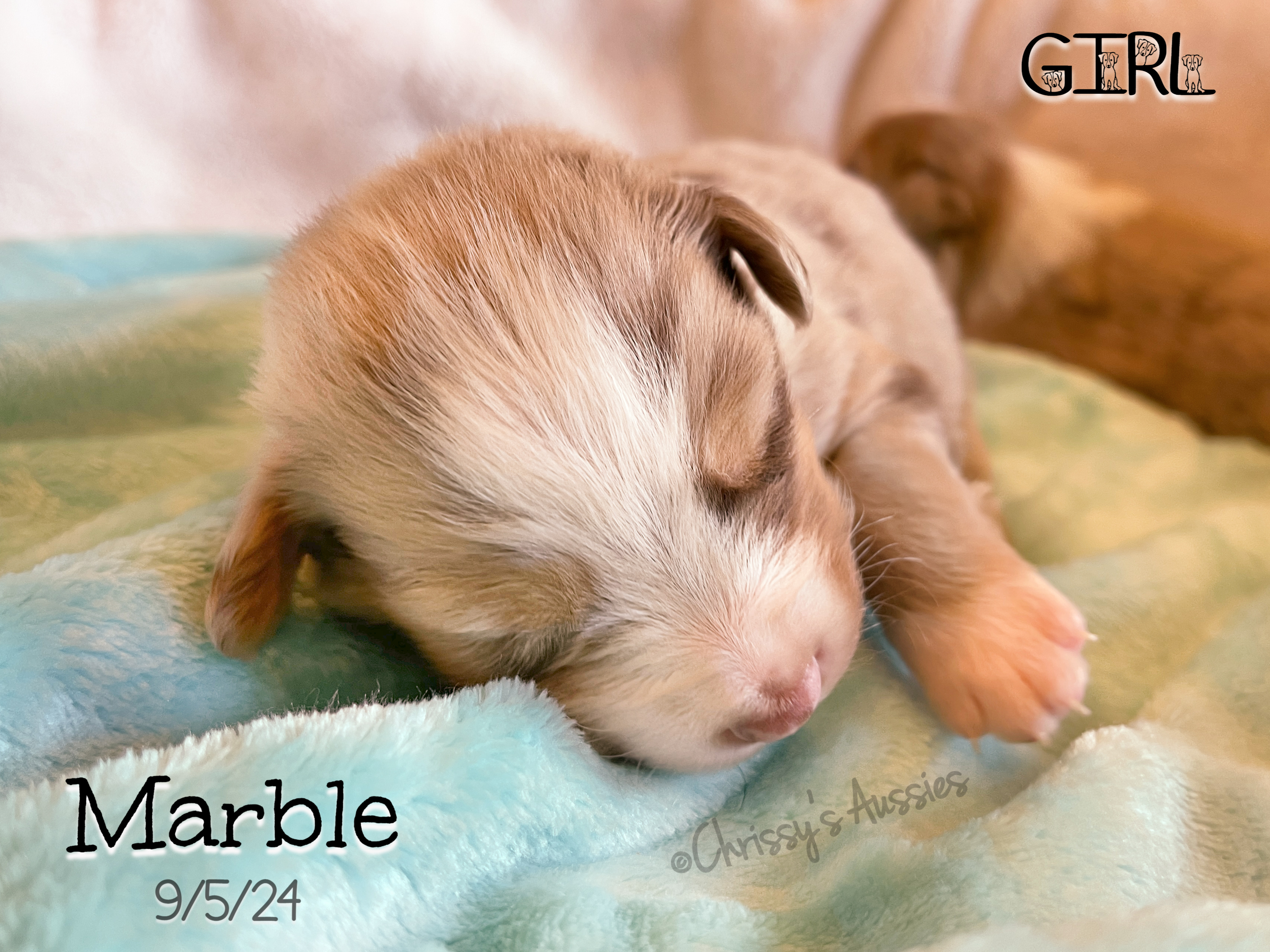Marble1
