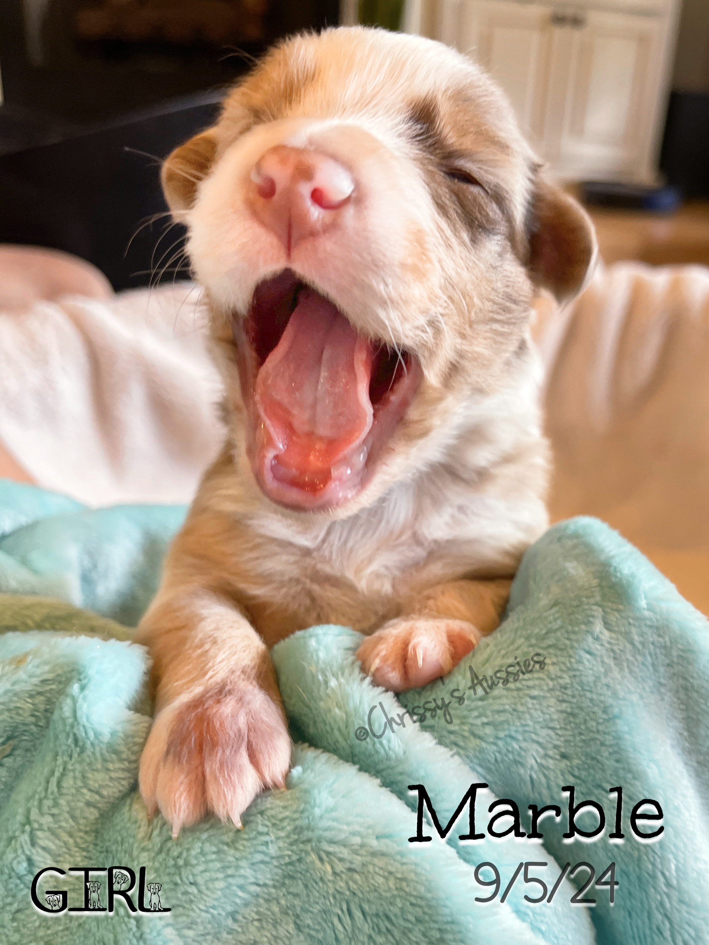 Marble2