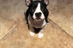 Zero